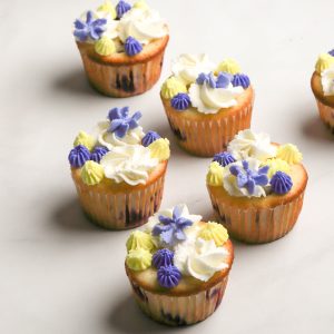 blueberry cupcakes