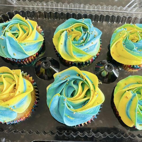 Set of 6 large cupcakes with colored liners.