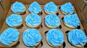 Vennila Bites cupcake set A set of 12 delicious cupcakes by Vennila Bites