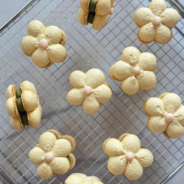 Delightful collection of cute flower macarons in sets of 10.
