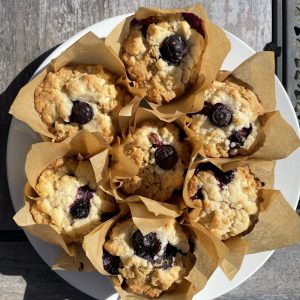 6 freshly baked blueberry muffins packed in bulk