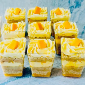 Cake Shooters Bulk
