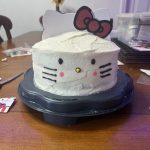 9in round simple cake